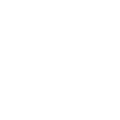 magnifier